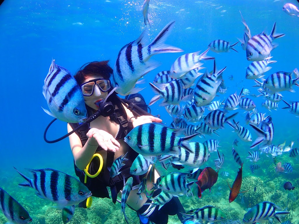 Khách Hàn Quốc lặn biển tại Hòn Mun