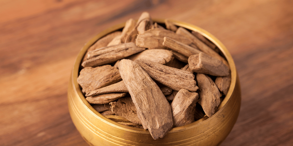 Tram Huong Khanh Hoa 1